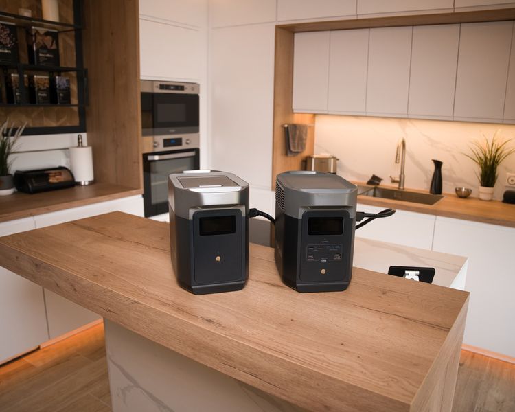 Smart модуль энергорасширения EcoFlow Delta 2 LifePower Storage 1024Wh для длительных нагрузок и автономности crYUw7bg фото